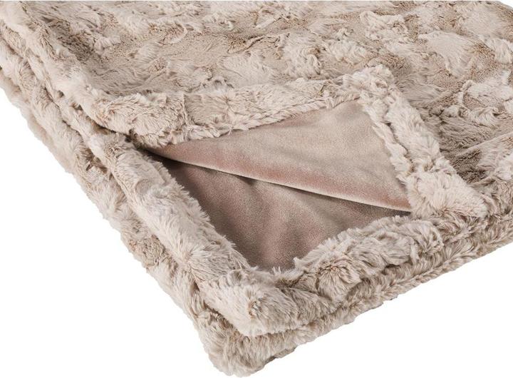 Actual product image Laboni Cozy M blanket (Dog)