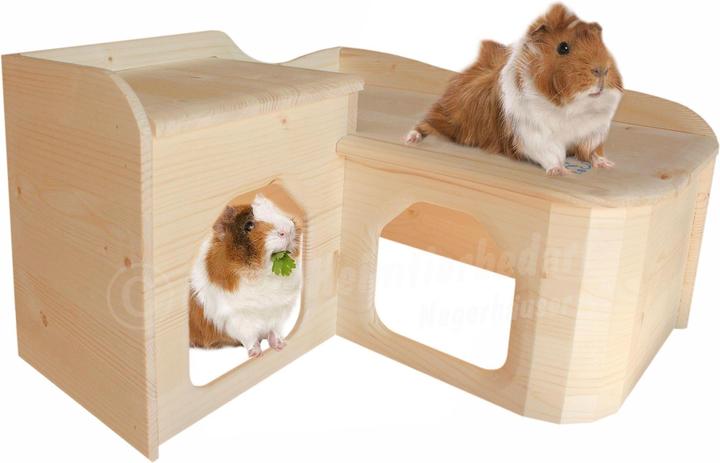 Actual product image Guinea pig house country house