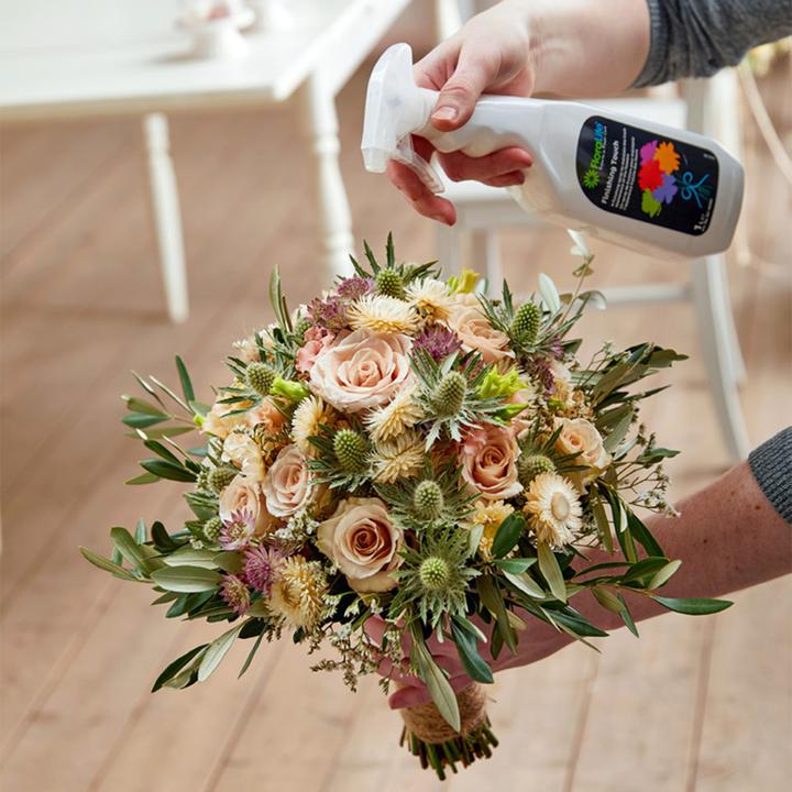 Produktbild Oasis Finishing Touch (1x)