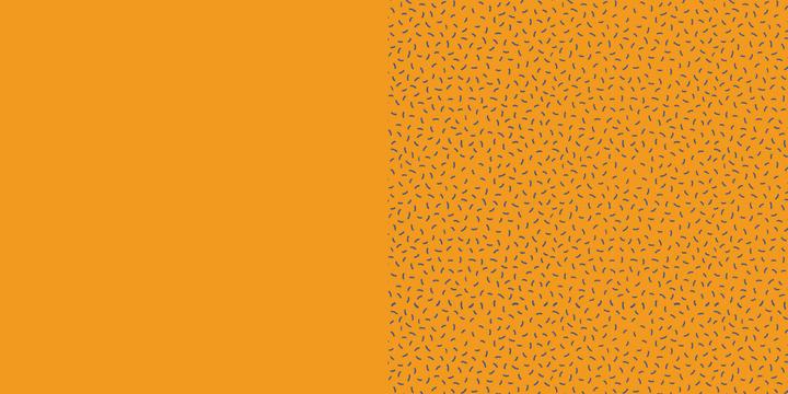 Immagine prodotto Origami Kids Rainbow Fun (Tedesco, Scongelare Precht, 2022)