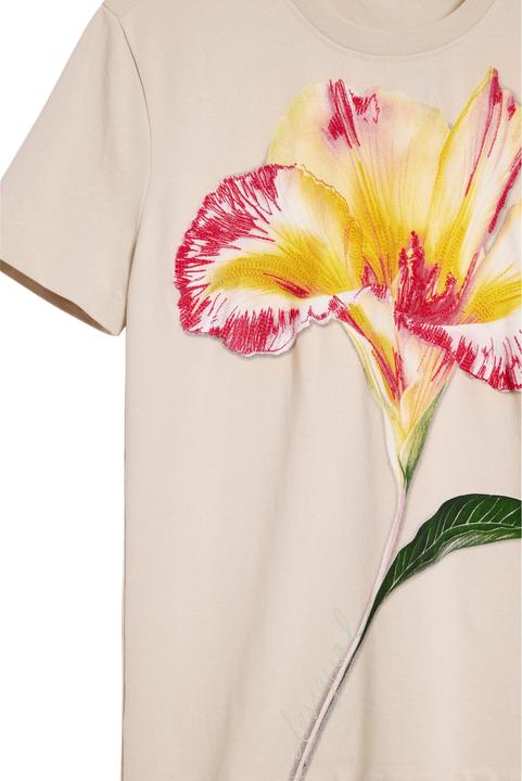 Produktbild Desigual Estocolmo (XS)