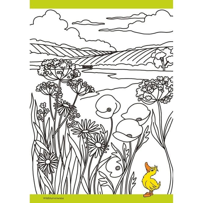 Produktbild Die Maus - Malblock mit Sachwissen Klima und Erde (Deutsch, Fiona Osbaldstone, pen2nature, 2024)