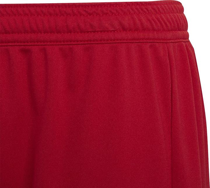 Actual product image adidas Entrada 22 Shorts (140)
