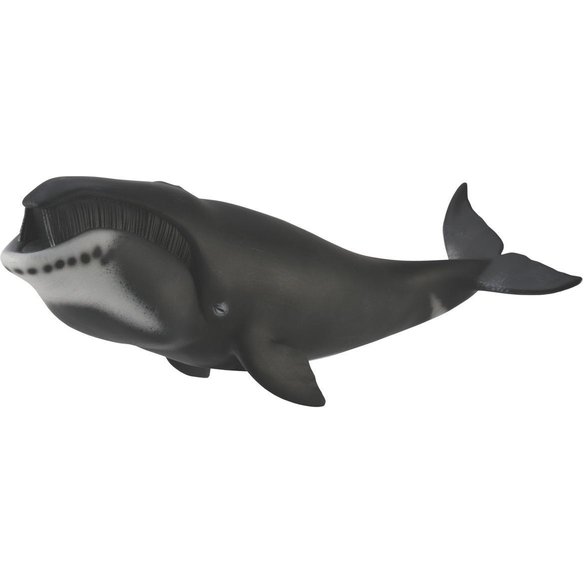 Collecta Grönlandwal-Figur (004-88652)