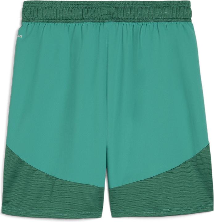 sportgreenpumawhitepowergreen