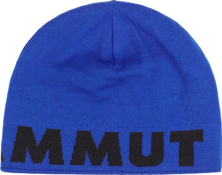 Actual product image Mammut Logo Beanie (One size)