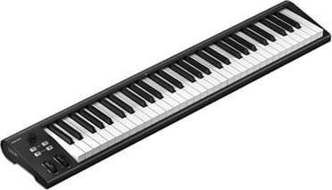 Actual product image iCON Pro Audio Artist 61 (Keyboards)
