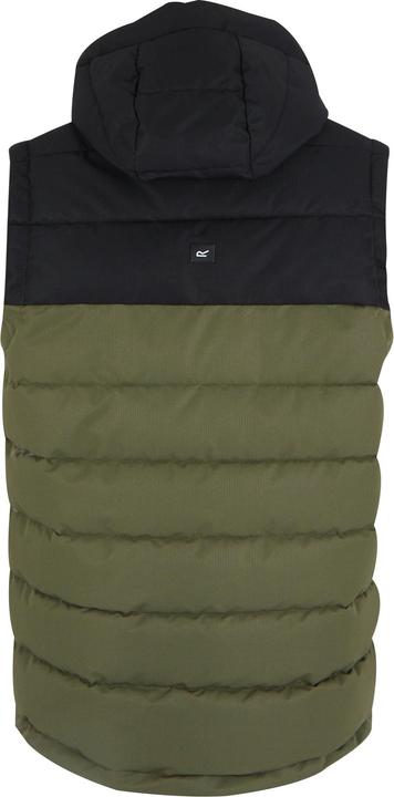 Produktbild Regatta Aldthorn Weste (M)