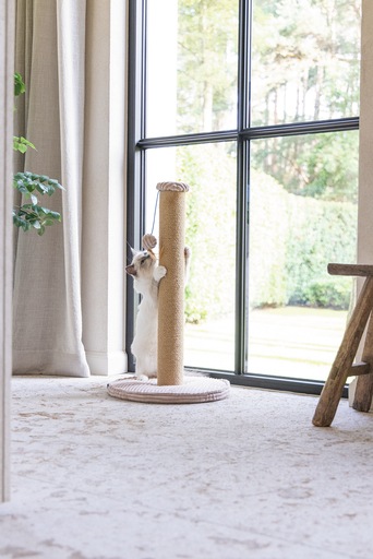 Actual product image Designed by Lotte Scratching post (70 cm, Rose)