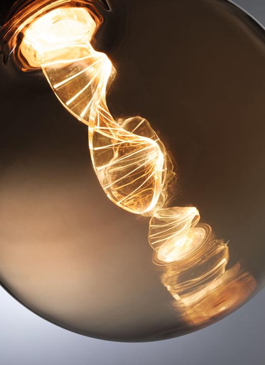 Actual product image Paulmann LED Globe Inner Glow Helix E27 (E27, 3.50 W, 180 lm, 1 x)