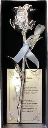 Immagine prodotto Philoro Rosa placcata in argento vero (2022)