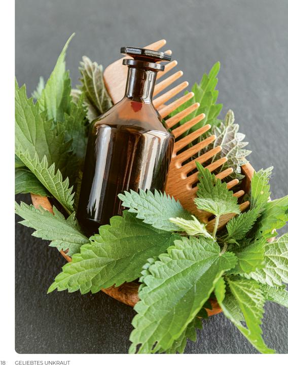 Produktbild Geliebtes Unkraut (Deutsch, smarticular Verlag, 2024)