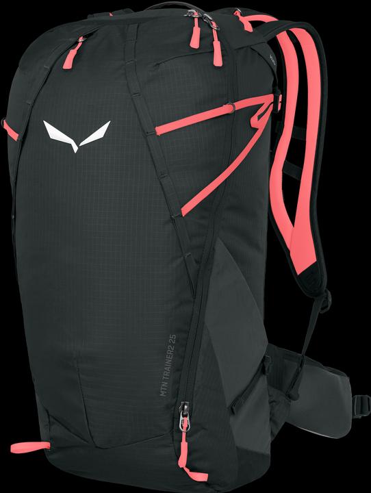 Actual product image Salewa Mountain Trainer L backpack (25 l)