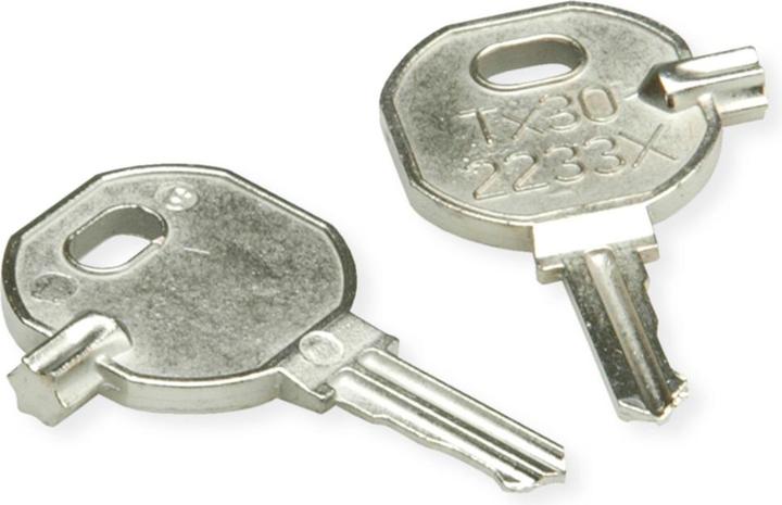 Produktbild Schroff Ersatzschlüssel EK2233 TX30