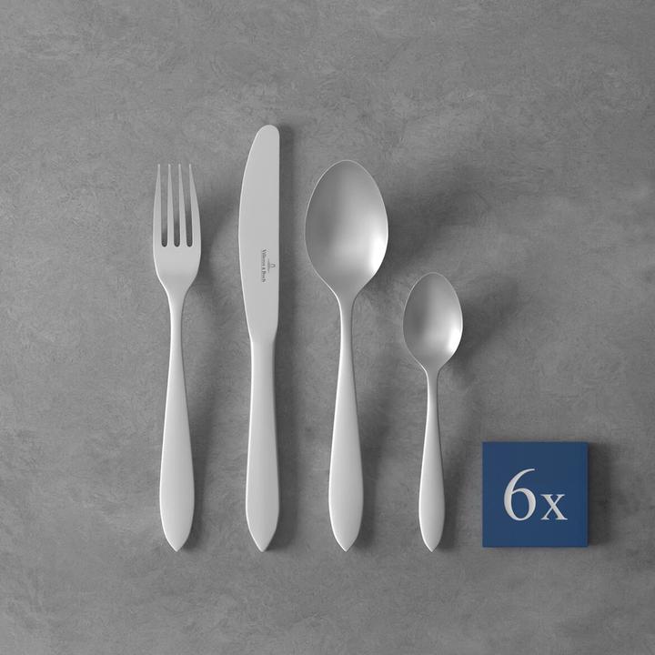 Actual product image Villeroy & Boch Table cutlery 24pcs Arthur brushed (24 Piece, Cutlery set)