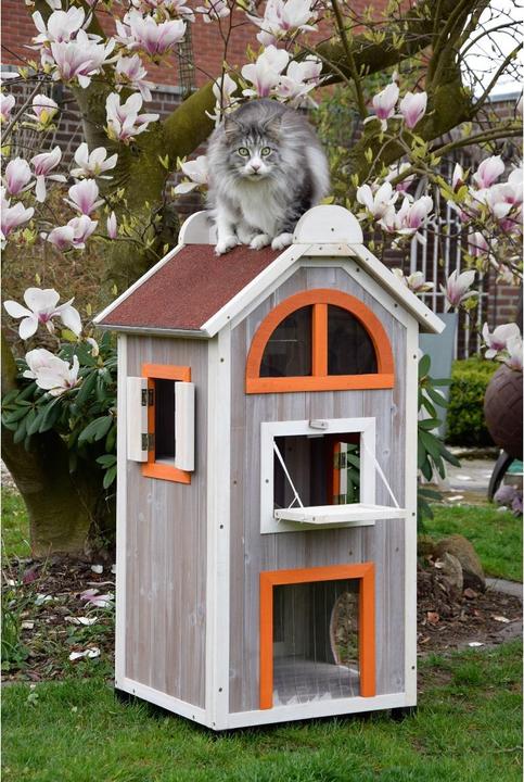 Actual product image Dobar Fancy Cat (Cat)