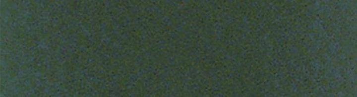 Fir sprigs