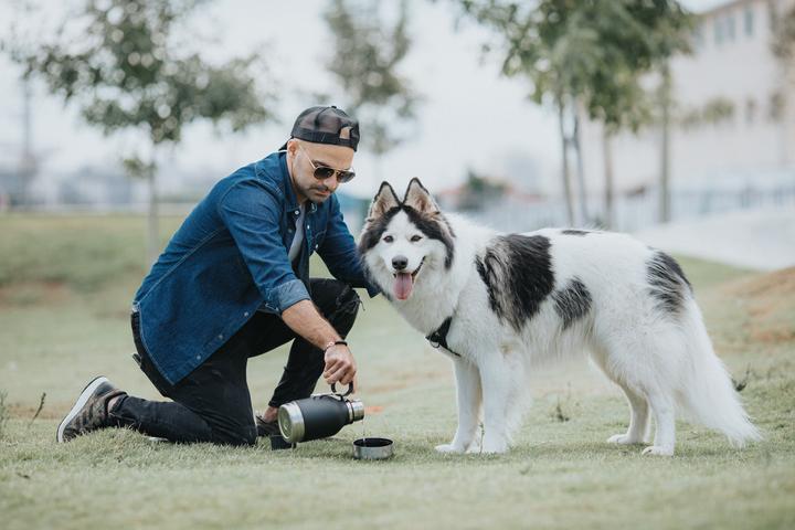 Actual product image Asobu Dog bowl bottle (1 l)