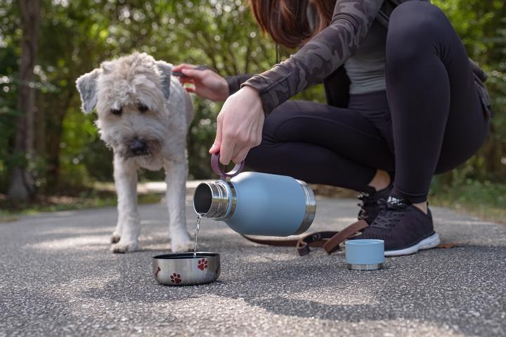 Actual product image Asobu Dog Bowl Bottle 0.975 L (97.50 cl)