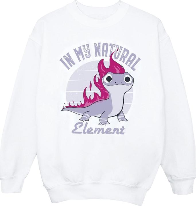 Produktbild Disney Frozen 2 Salamander Bruni Element Sweatshirt Jungen (116)