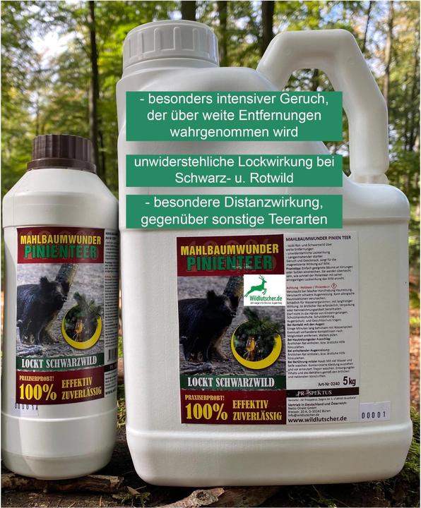 Wildlutscher Pinienteer