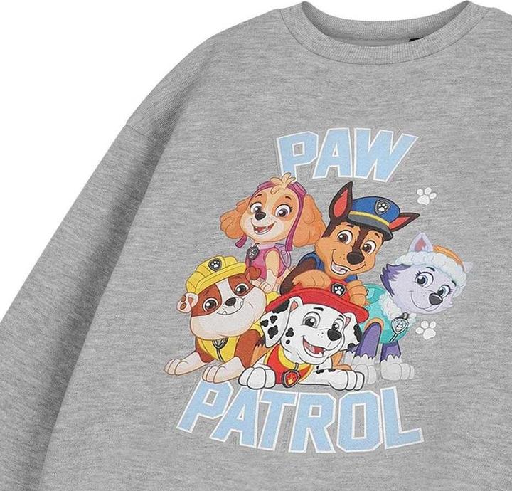 Produktbild Paw Patrol Sweatshirt (116)