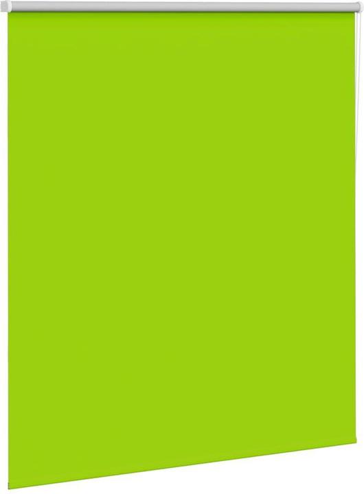 Produktbild vidaXL Verdunkelungsrollo (135 x 150 cm)