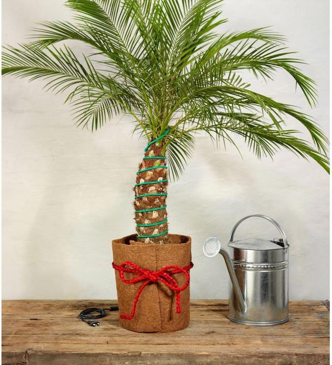 Actual product image Romberg Plant heater L 10 m (8 m heatable), 40 Watt