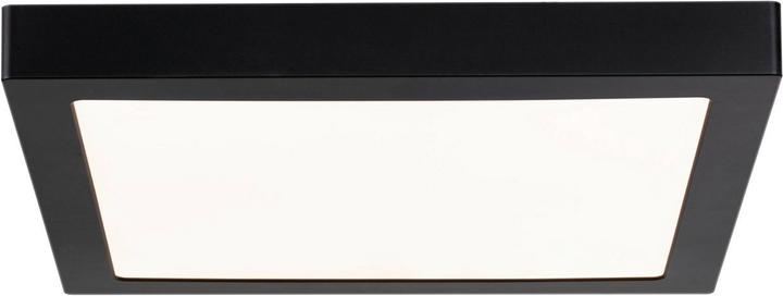 Produktbild Paulmann Abia (3200 lm)