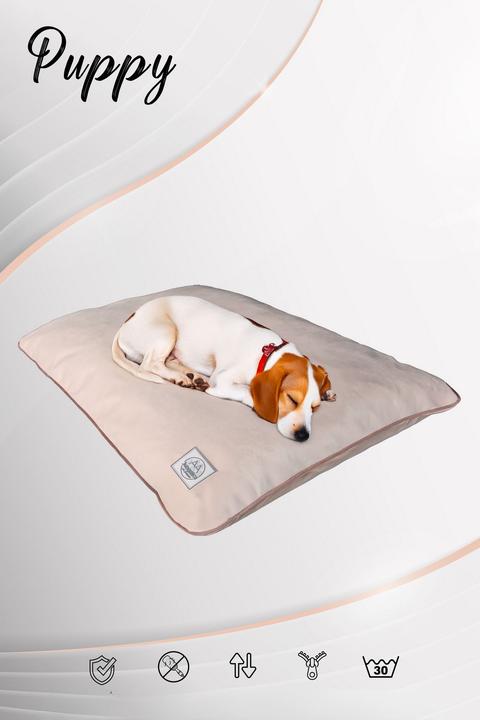 Actual product image Paws & Whiskers Puppy Dog L Pet Bed (Cat, Dog)