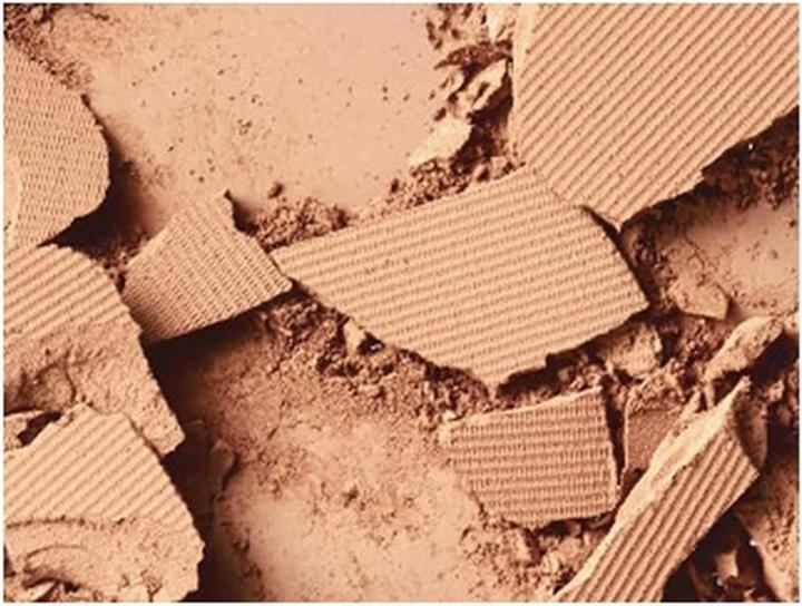 Actual product image MAC Cosmetics Studio Fix Powder Plus Foundation (C4.5 Peachy Golden)