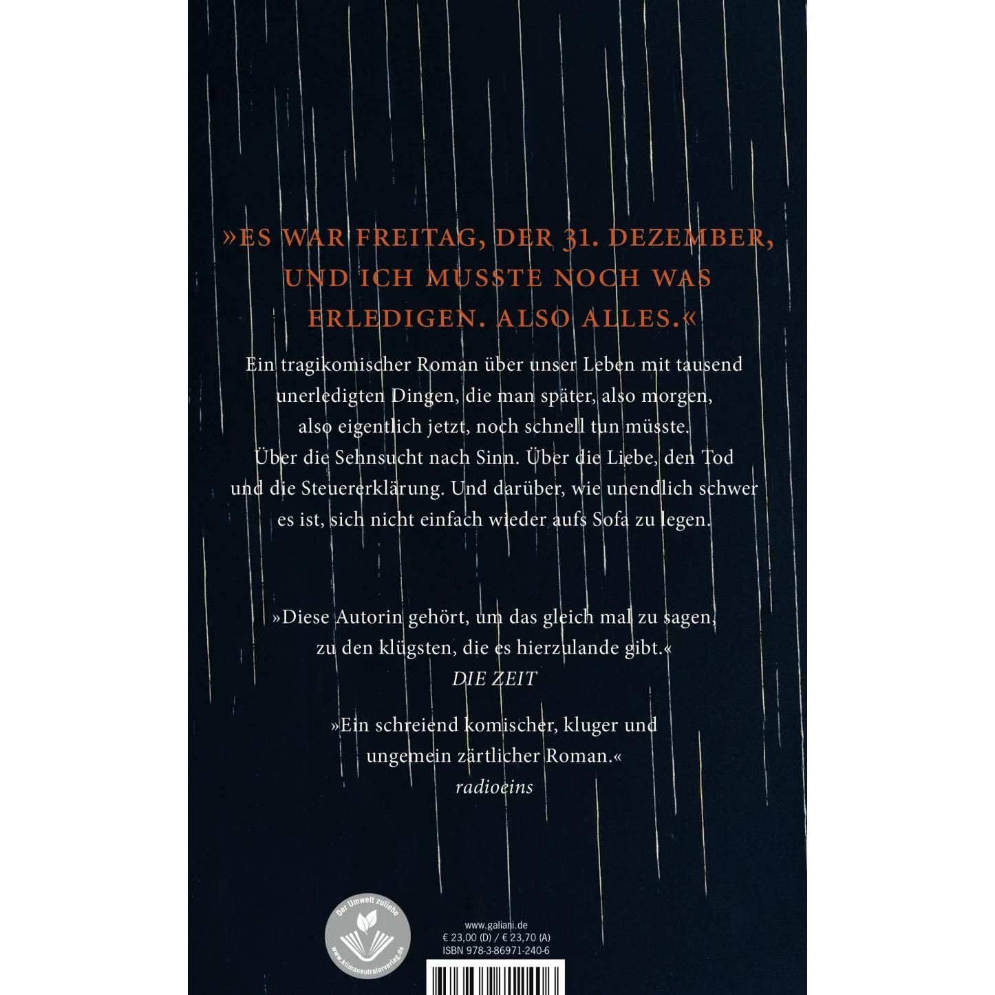 Thumbnail - Kleine Probleme, Belletristik von Nele Pollatschek