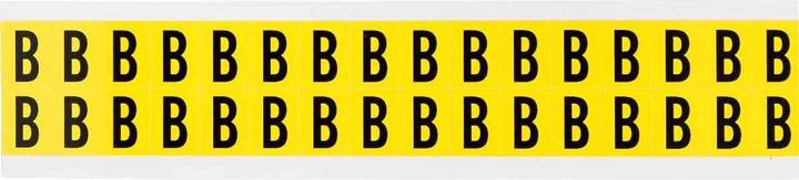 Actual product image Brady 3420 Series labels with numbers and letters, removable