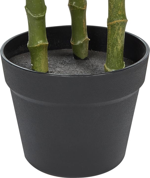Immagine prodotto Beliani Dieffenbachia (110 cm)