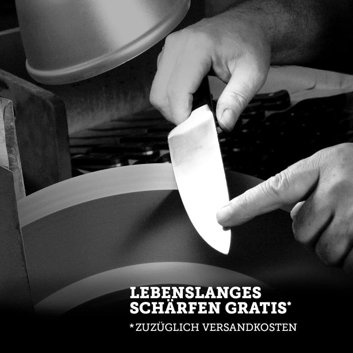 Actual product image Felix Solingen Bread knife (22 cm)