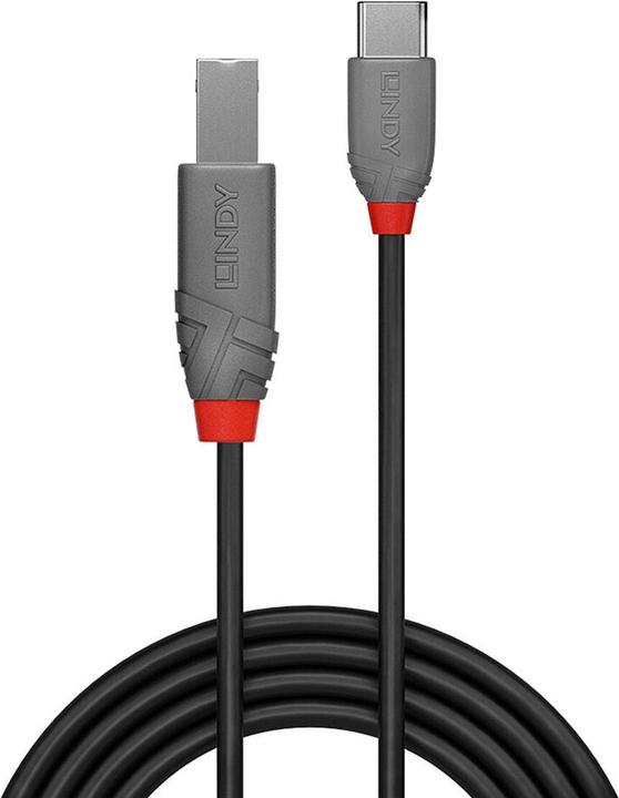 Produktbild Lindy USB C — USB B (2 m, USB 2.0)