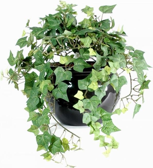 Produktbild Greendeco Künstliche Efeu Ranke, ca. 35cm (35 cm)