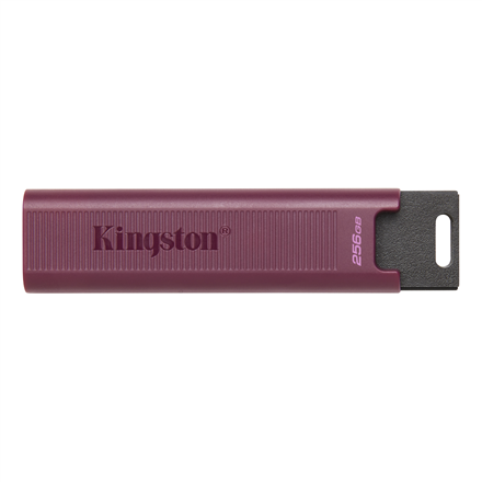 Actual product image Kingston DataTraveler Max (256 GB, USB-A, USB 3.2)