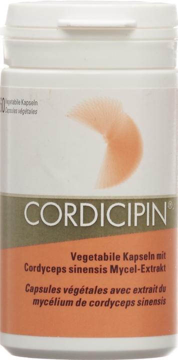 Actual product image Gamu Vital mushroom extract capsule (60 Piece, Capsules, 40 g)