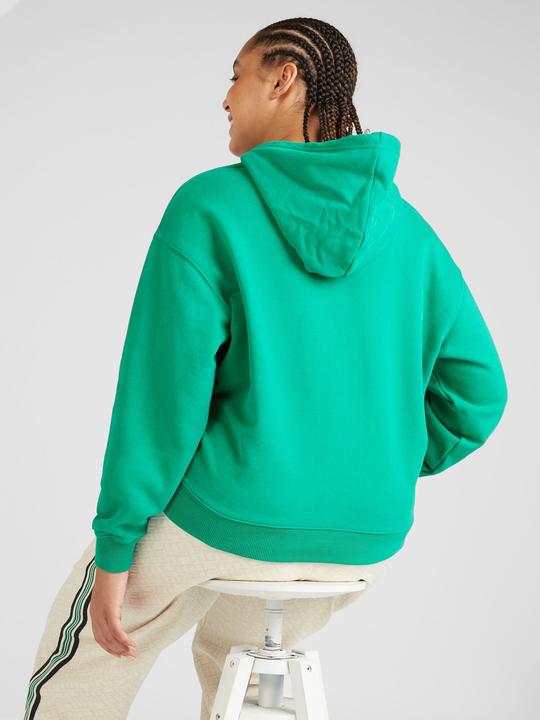 Image du produit Tommy Hilfiger Sweat à capuche (48)