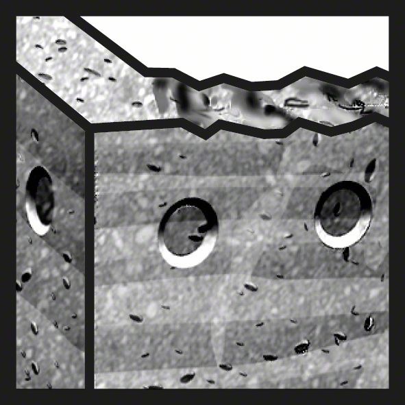 Actual product image Bosch Professional Zubehör PRO SDS max-5 Core Cutter, one-piece, 100 x 80 x 300 mm (100 millimetres)