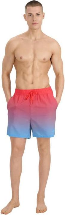Image du produit 4F Herren-Badeshorts (M)