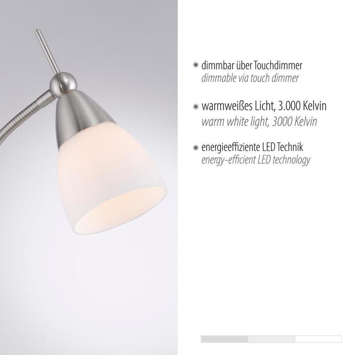 Immagine prodotto Paul Neuhaus Pino (265 lm, G9)