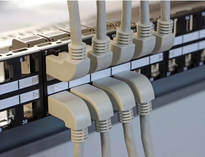 Actual product image Delock Patch cable RJ-45 (M) (S/FTP, CAT5e, 1 m)