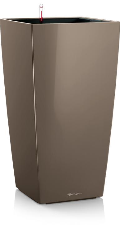 Actual product image Lechuza Cubico 40 roller coaster