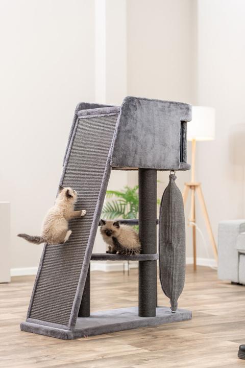 Produktbild Trixie Cat tree Active, grey with climbing ramp, 122 cm (122 cm, Grey)