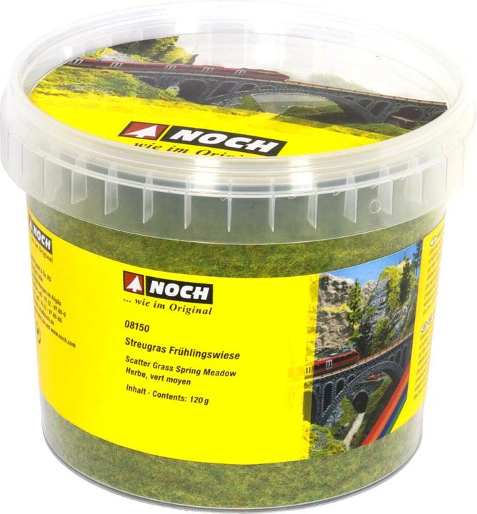 Noch Prato primaverile con erba sparsa