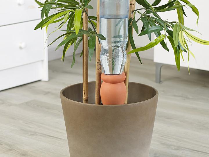 Produktbild Royal Gardineer 6er-Set 2in1-Terracotta-Wasserspender