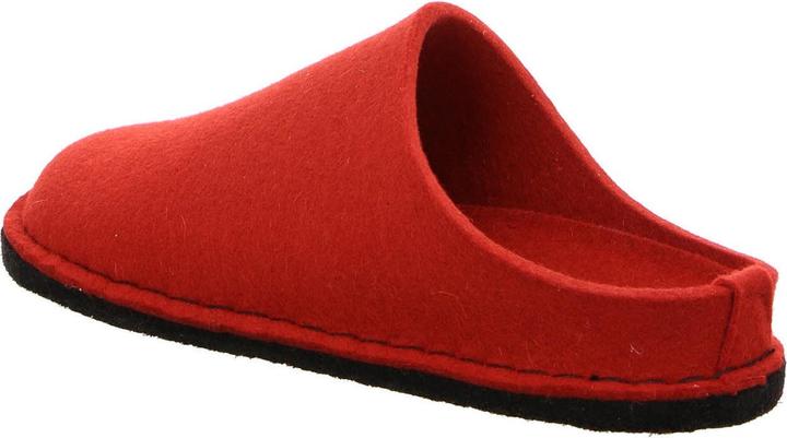 Actual product image Haflinger Slipper 311010-11 (40)