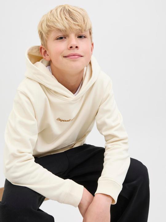 Produktbild Jack & Jones Jornorrebro Emb Sweat Hood Noos Jnr (140)